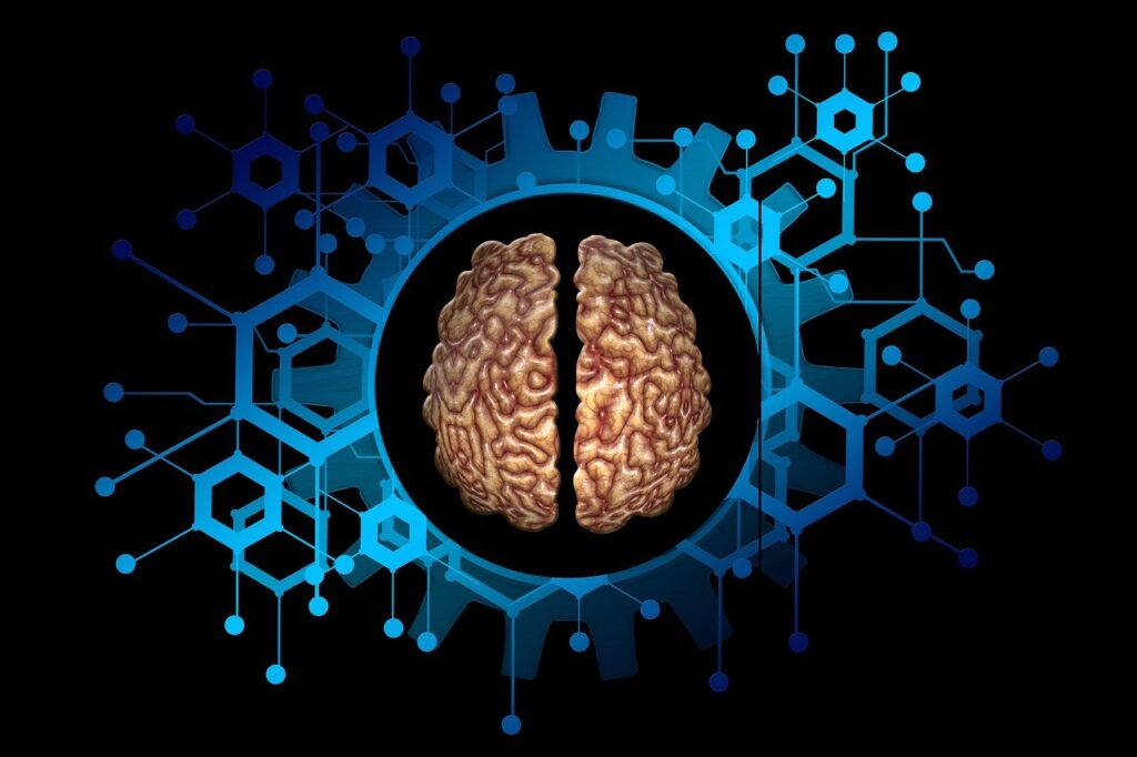 Cerebro digital transformación - neuroplasticidad