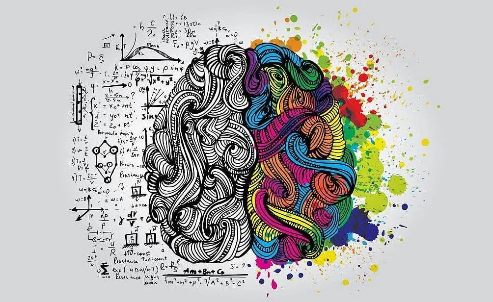 Cerebro: neurociencia. Redes sociales y comportamiento social